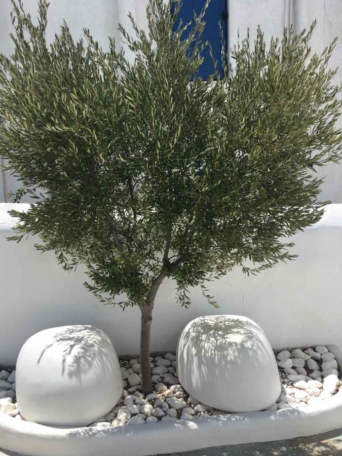 Mykonos Town Myconian Sky Suites In Town المظهر الخارجي الصورة