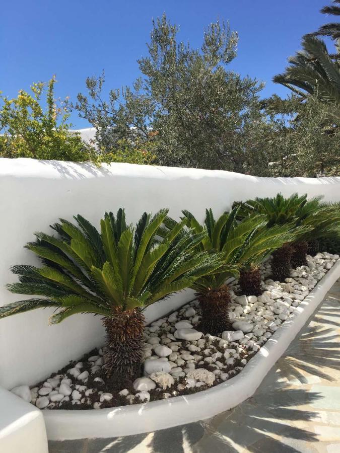 Mykonos Town Myconian Sky Suites In Town المظهر الخارجي الصورة
